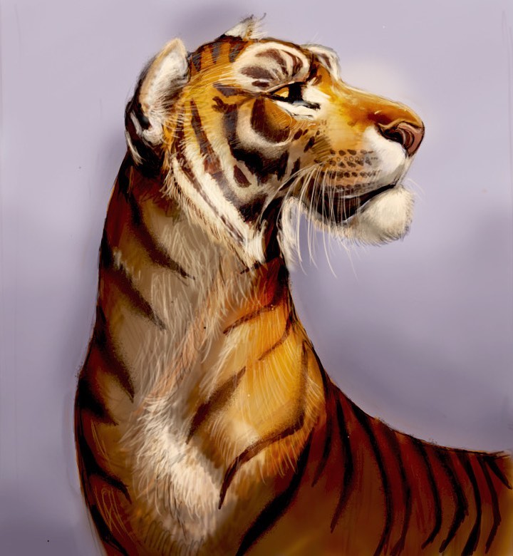 Tiger portrait - digital painting